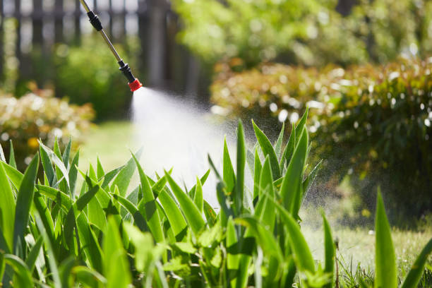 24/7 Emergency Mosquito Control experts in Redington Shores, FL