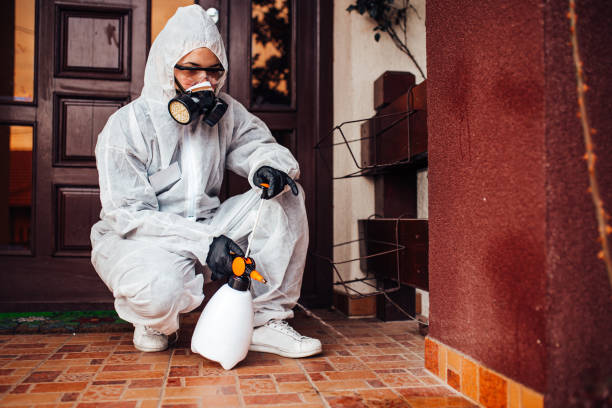 Reliable Mosquito Control contractor in Redington Shores, FL by Show Me Pest Control